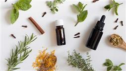 essential oils for lyme disease