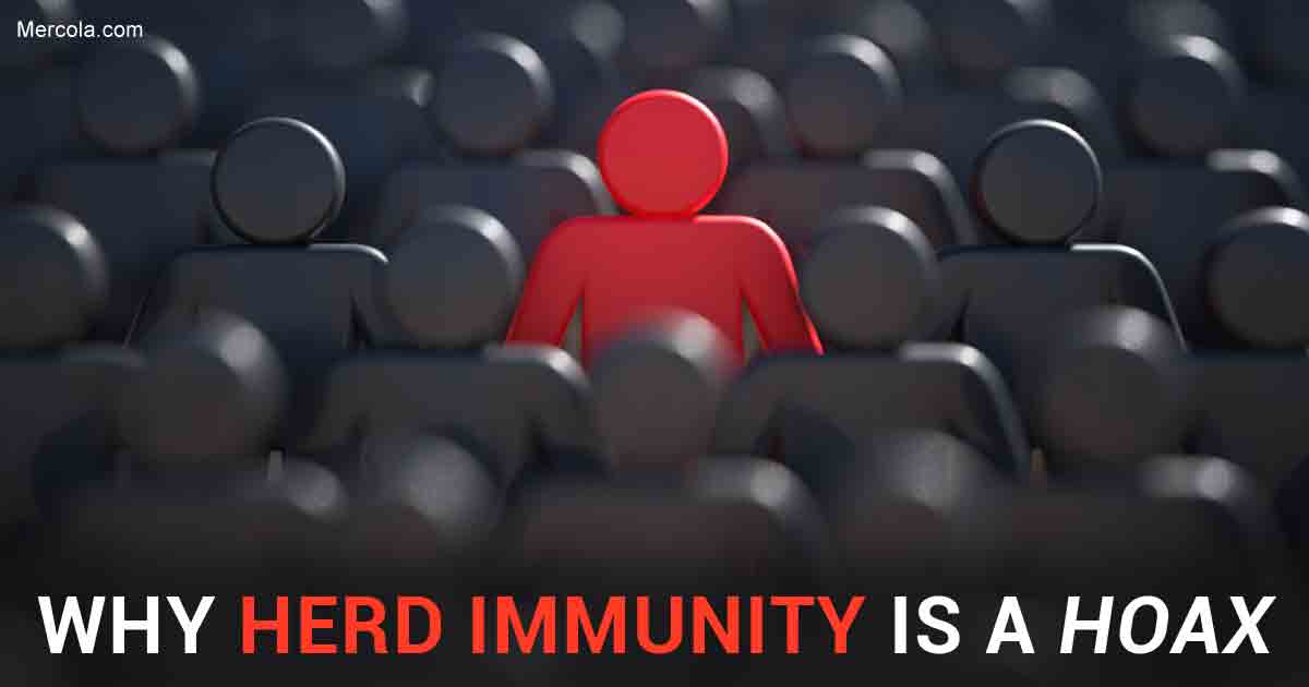 Why Herd Immunity Is a Hoax