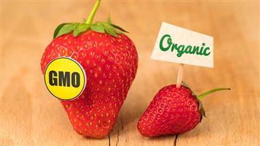 alimentos organicos alimentos gmo glifosato