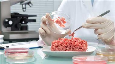carne producida en laboratorio