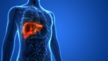 glyphosate causing fatty liver disease