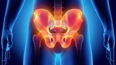 Do You Know the Importance of Strong Pelvic Floor Muscles?