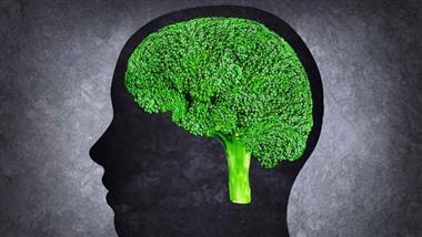 sulforafano en broccoli para corazon cerebro