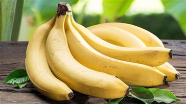cavendish banana extinction