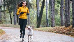run with your dog