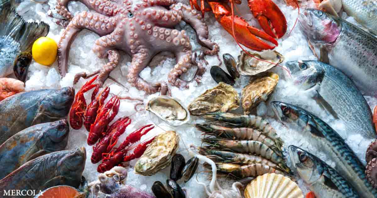 Seafood Can Resolve Many Nutrient Deficiencies