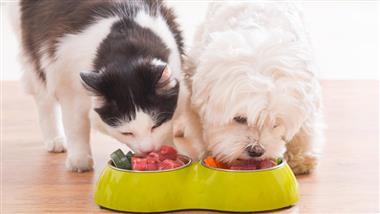 glifosato en comida para mascotas