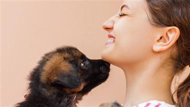 perros tocan con la nariz a humanos