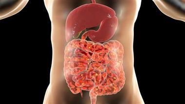 microbioma intestinal y cancer