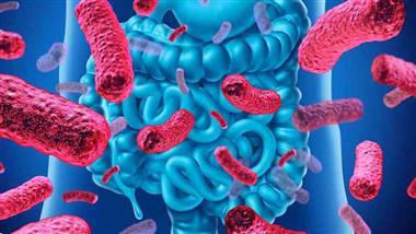 Las bacterias intestinales y el riesgo de enfermedades