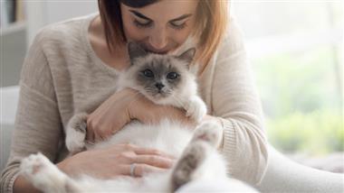 causes of stress in cats