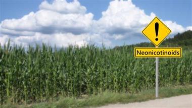 neonicotinoid pesticides