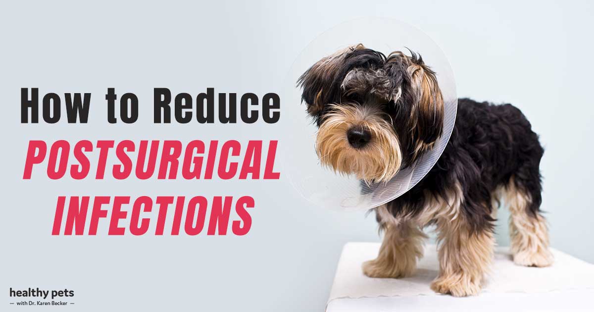 reducing-surgical-infections-what-you-need-to-know