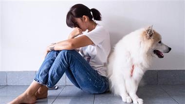 estrés afecta a mascotas