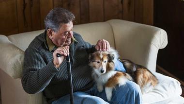 perros de terapia para personas con alzheimer