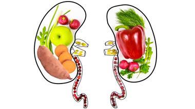 alimentos para la salud renal