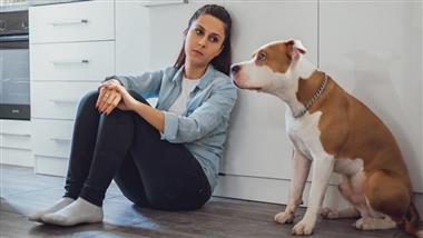 perros detectan emociones humanas