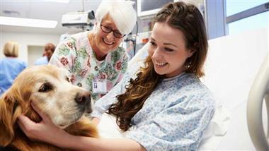 therapy dogs in emergency rooms