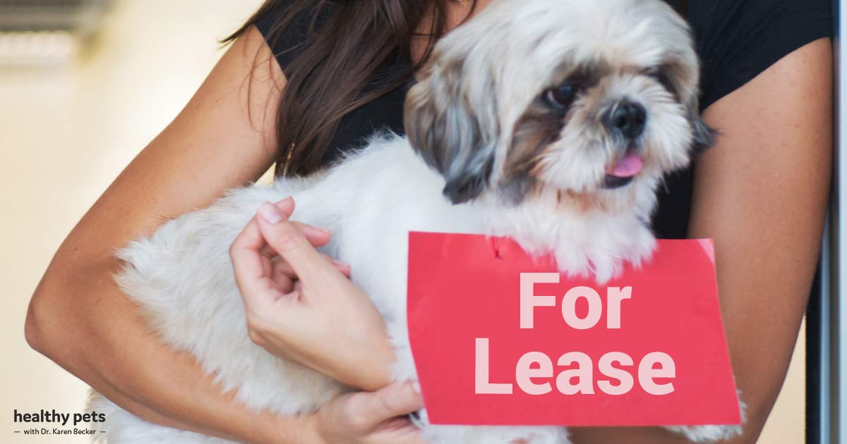 Pet Leasing - What Could Possibly Go Wrong? - Real Estate Leasing For Pet Caregivers