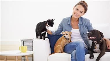 pets reduces stress in humans