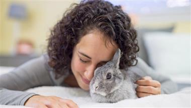rabbits as easy pets myth