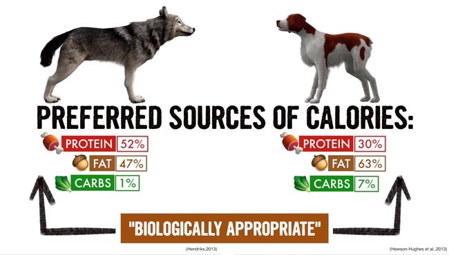 source de calories préférée du chien