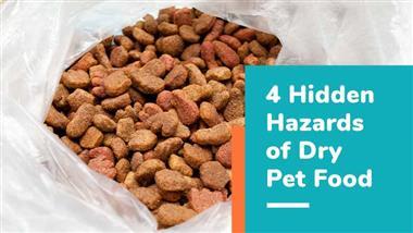hidden hazard of dry pet food