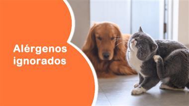 eliminar los alergenos de las mascotas en el hogar