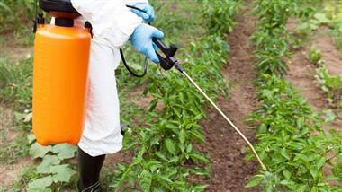 Faktenceck: Der Bericht über ein tödliches Herbizid, den Sie lesen müssen