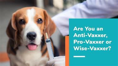 pet vaccination guidelines