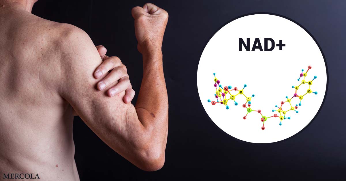 NAD+ Helps Restore Age-Related Muscle Deterioration