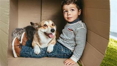 benefits of dogs to children