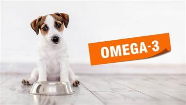 omega 3 para mascotas aceite de kril