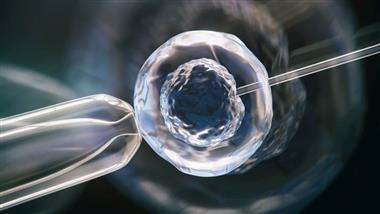células fetales abortadas en vacunas