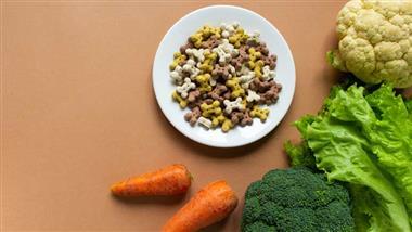is plant based dog food good for dogs