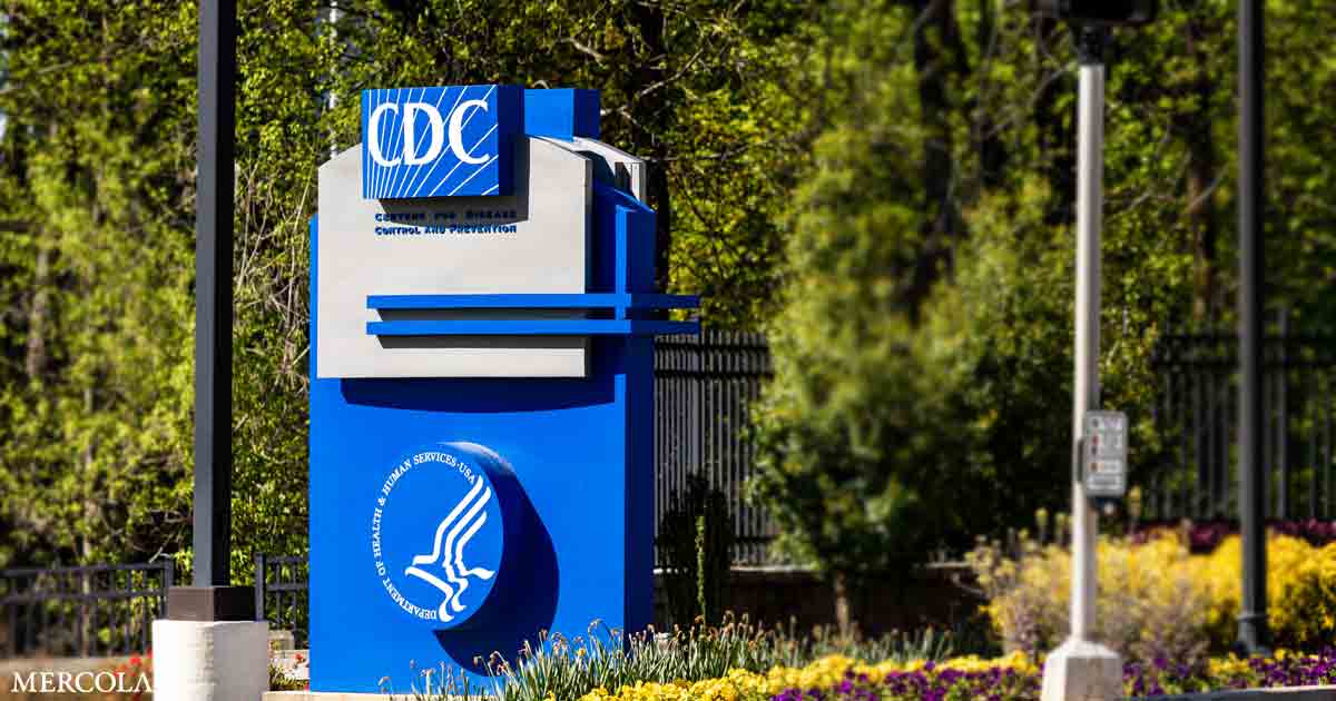 CDC Hits New Lows With Two Manipulated Studies