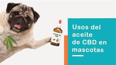 Aceite de cbd para la osteoartritis de los perros