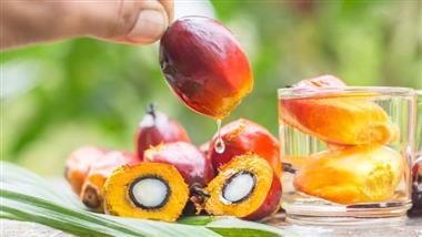 palm oil palmitic acid