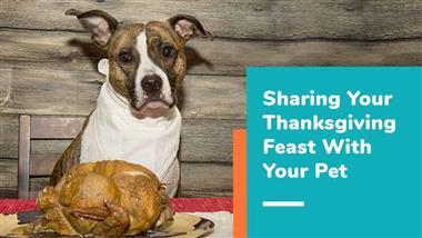 thanksgiving food for pets