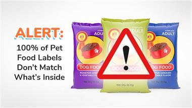 adulterated pet food