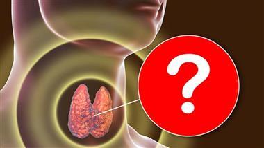 ¿Para qué sirve la tiroides?