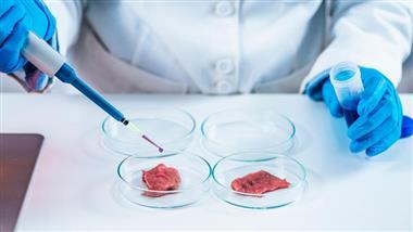 Im Labor gezüchtetes Fleisch ist eine Katastrophe