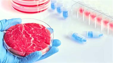 Patentiert und im Labor gezüchtetes Fleisch zur Bevölkerungskontrolle
