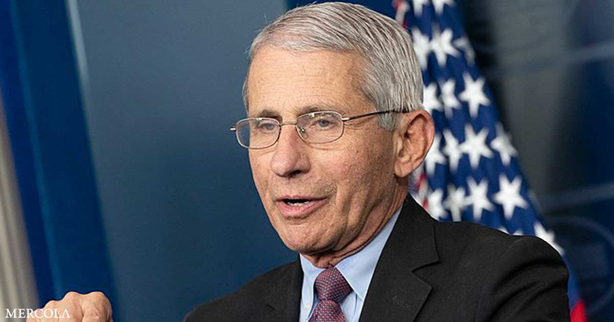 Will Fauci Be Held Accountable for Lying to Congress?