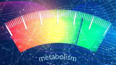 niacin and melatonin combination support metabolic health