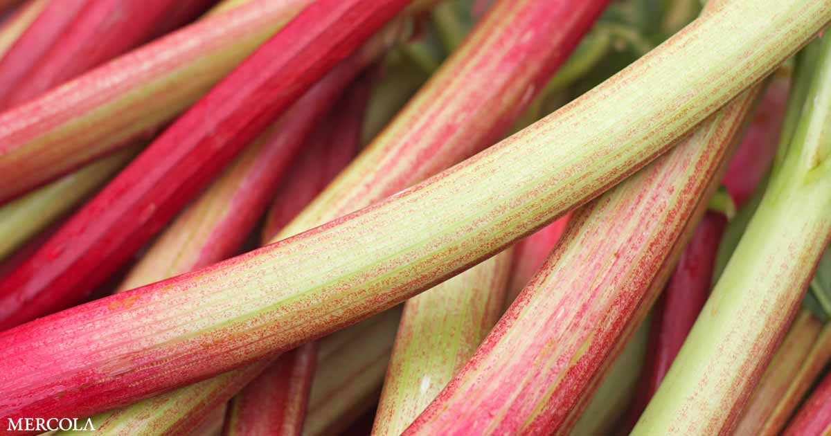 How Rhubarb Might Ward Off Colon Disease