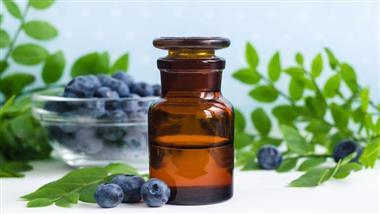 blueberry extract for wound healing