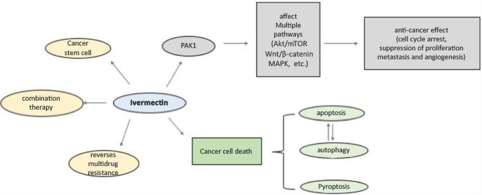 Is Ivermectin a Cancer Solution?