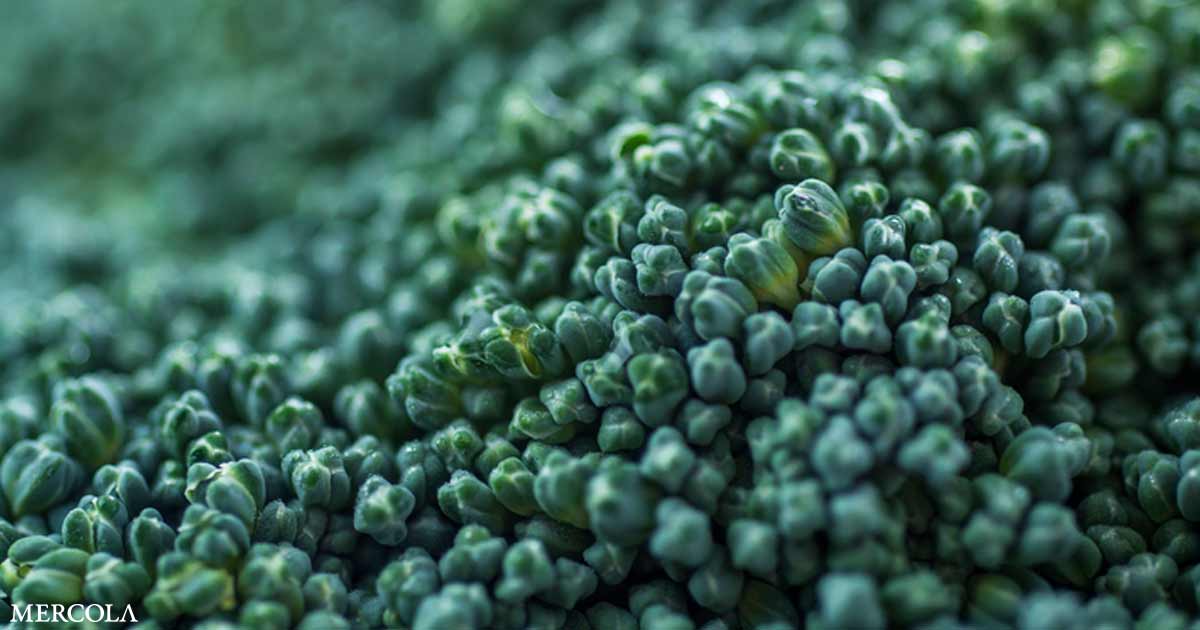Broccoli Compound May Solve Antibiotic Resistance Problem
