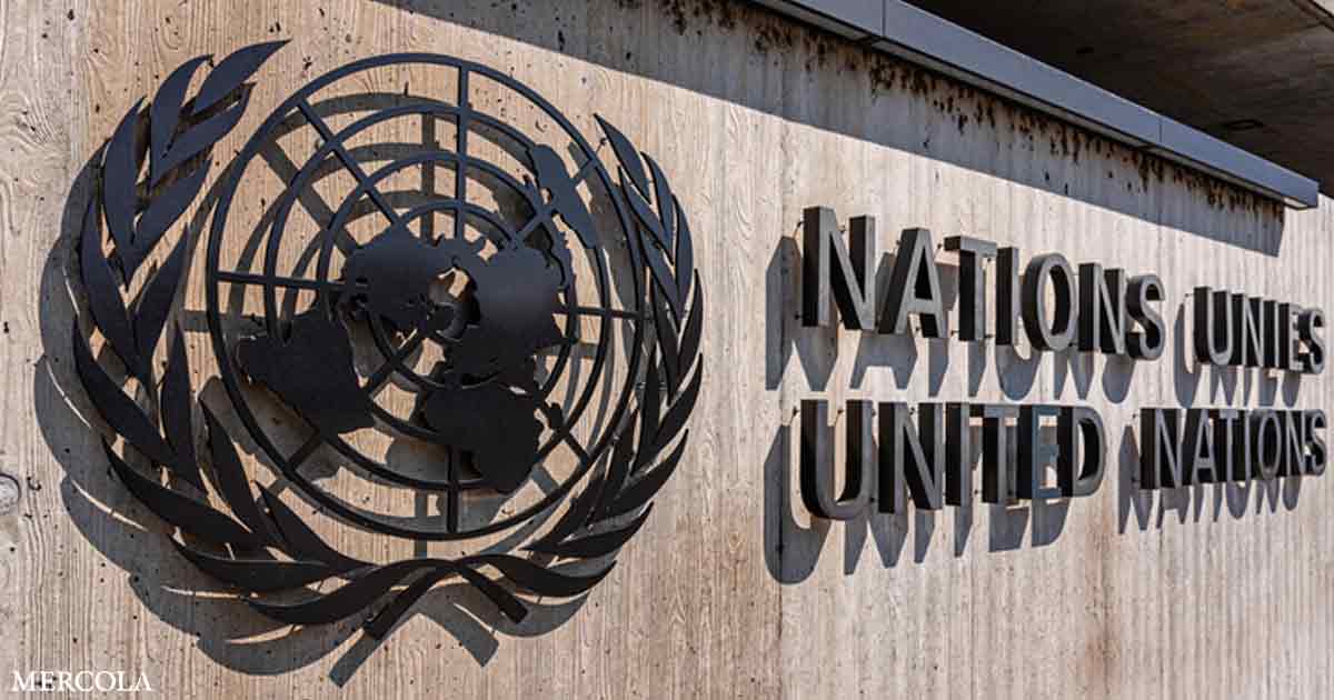 United Nations Penalizes Criticisms Against Elitist Takeover